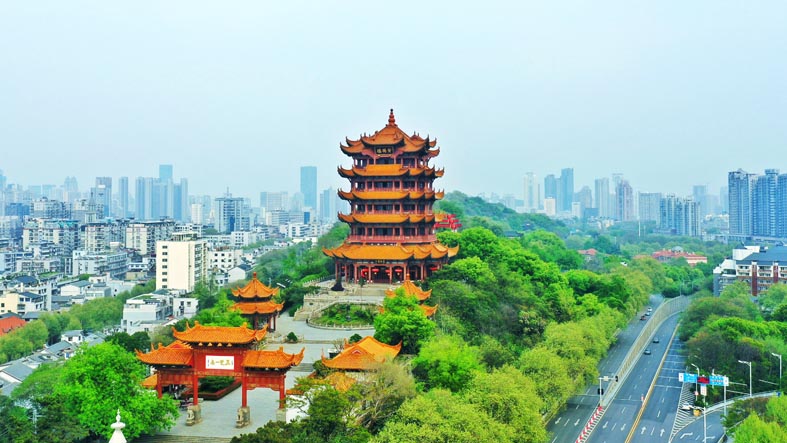 1661242262622079580.jpg 1661242262622079580.jpg