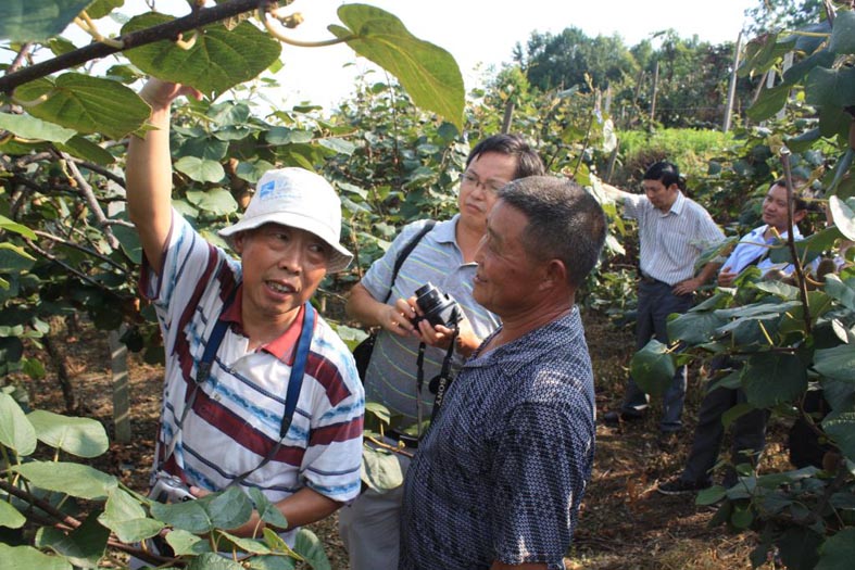 1661416882006054118.jpg 1661416882006054118.jpg