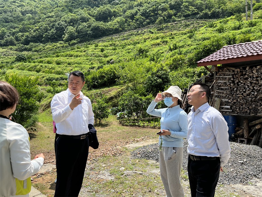 1664537659603084358.jpg 1664537659603084358.jpg