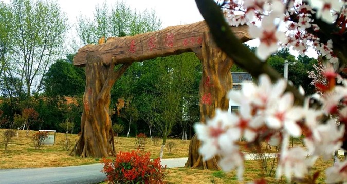 1692177840477082009.jpg 1692177840477082009.jpg