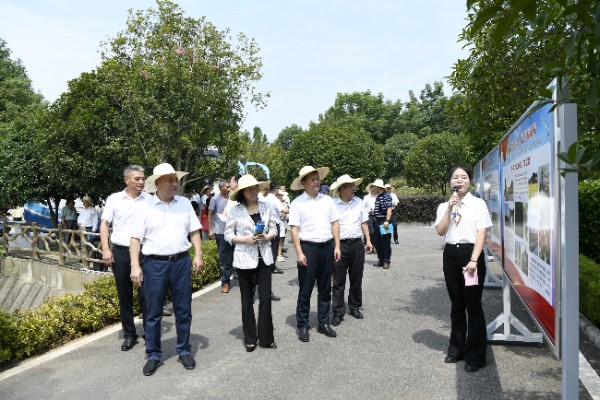 1693444152668079061.jpg 1.jpg