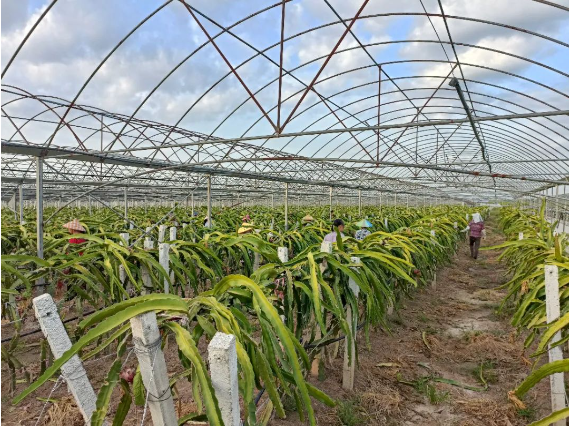 1695295451716016138.png 1695295451716016138.png