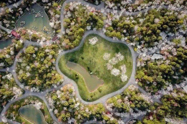 1697419067535001749.jpg 1697419067535001749.jpg