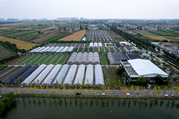 1701827646746020447.jpg 1701827646746020447.jpg