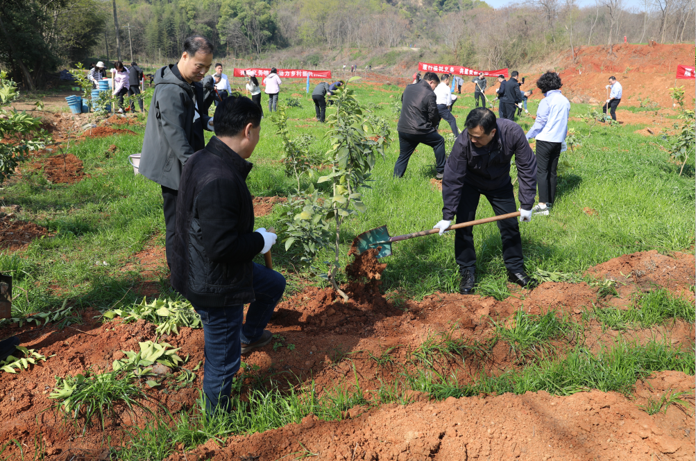 1742951078762016024.png 1742951078762016024.png