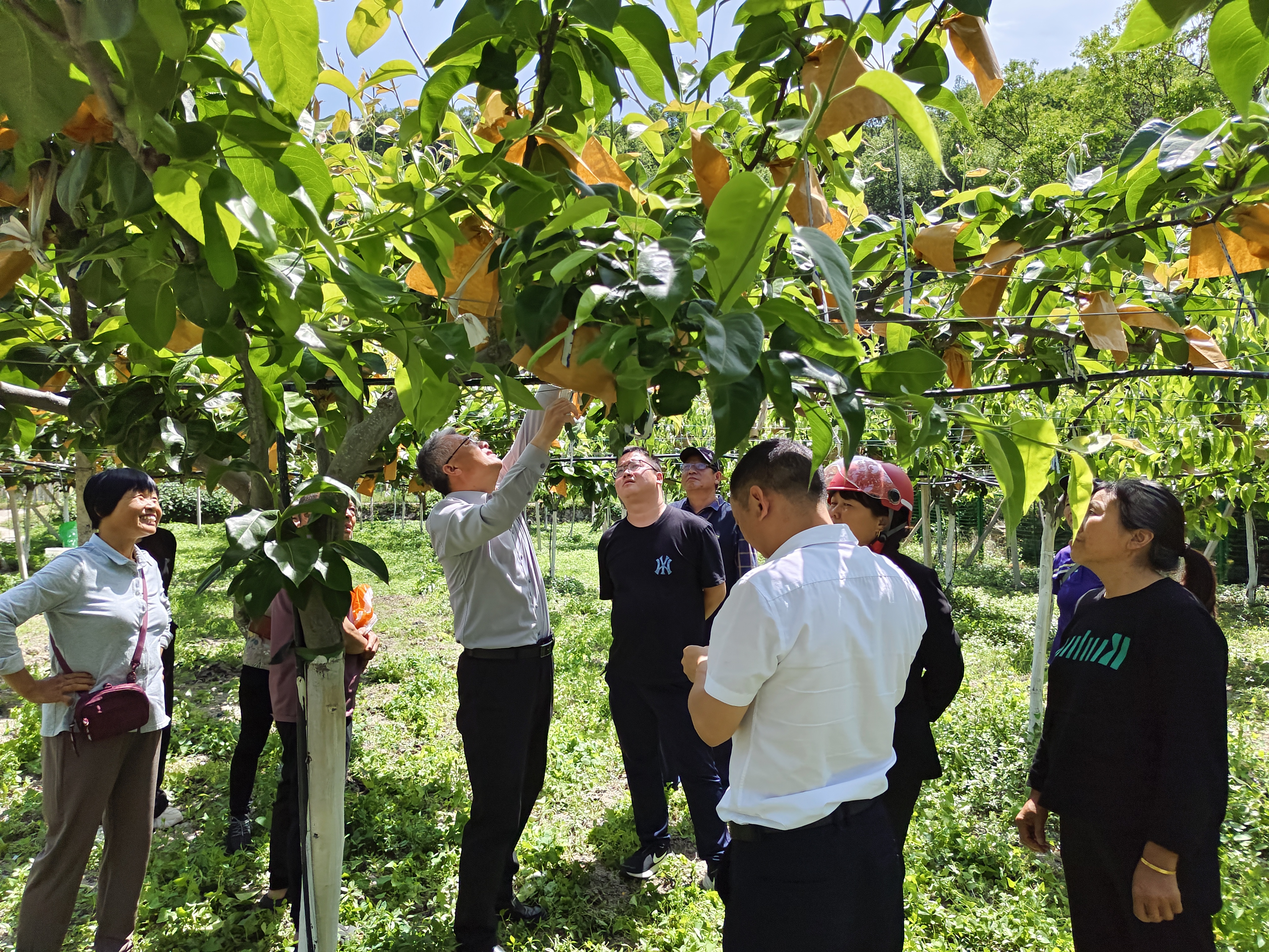 1753410400600099981.jpg 1753410400600099981.jpg