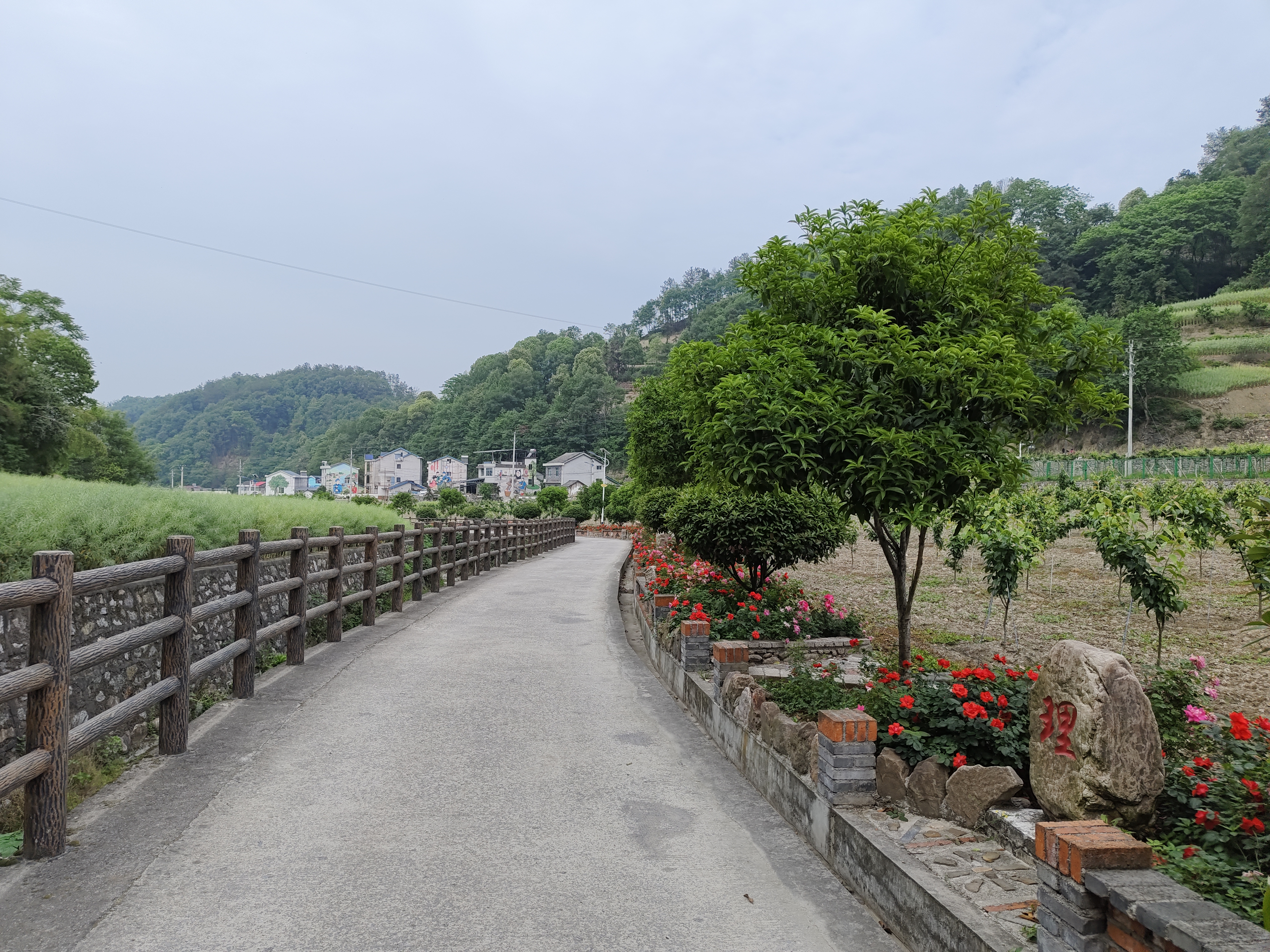 1753410447757034040.jpg 1753410447757034040.jpg