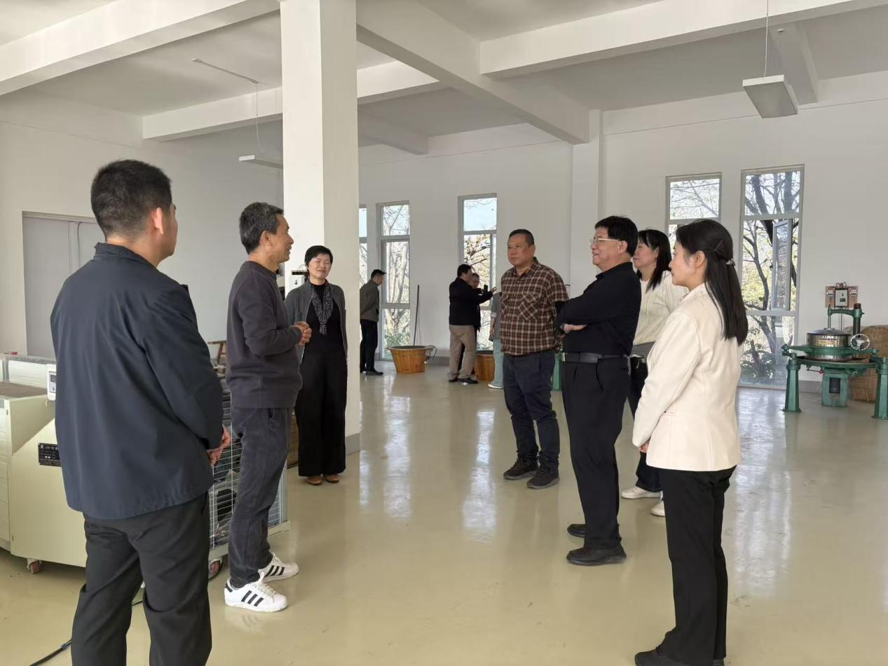 1764036299480044293.png 1764036299480044293.png